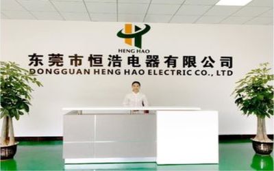 الصين Dongguan Heng Hao Electric Co., Ltd